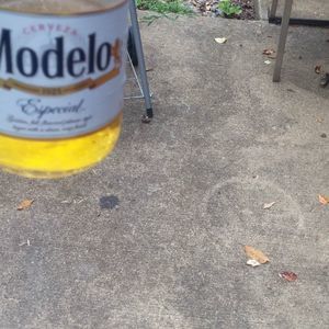 Meet your Posher, Telesforo